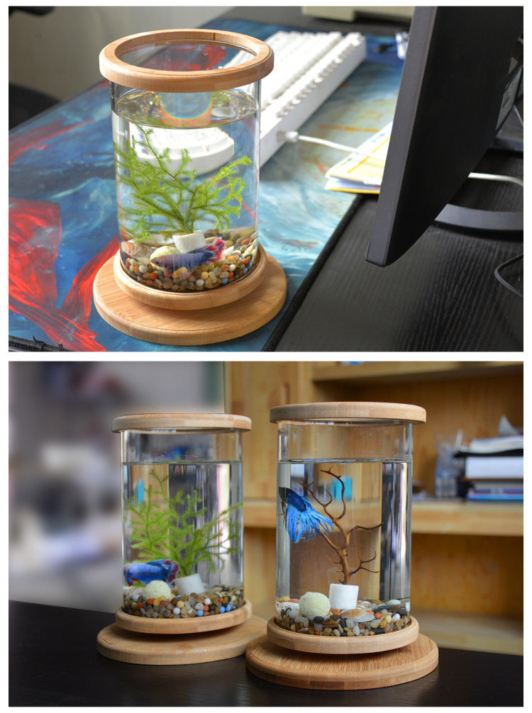 Mini Fish Tank Decoration Fish Bowl