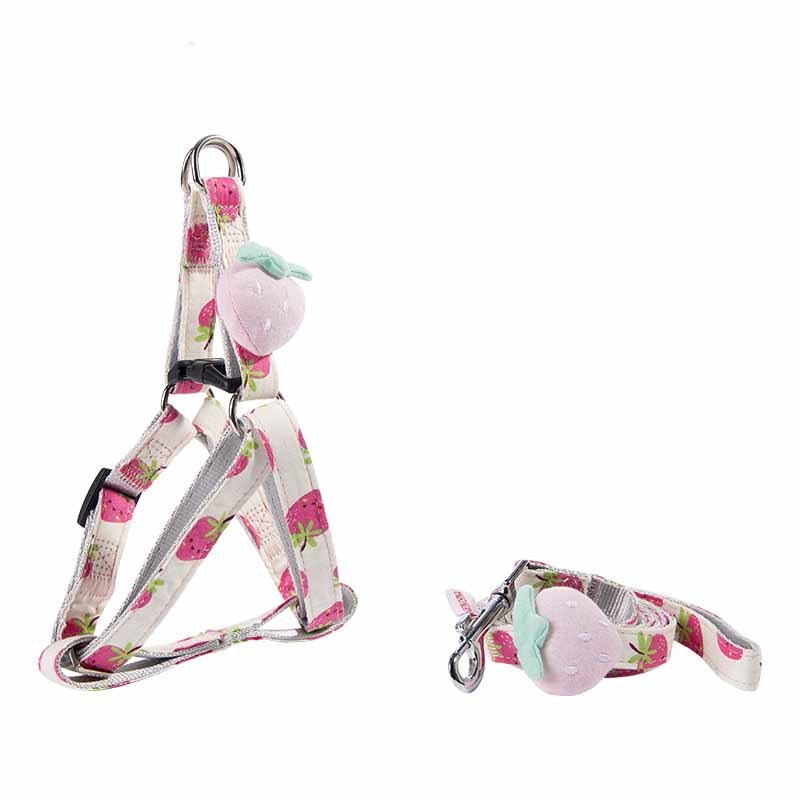 Fruit Printing Outing Cats Leash