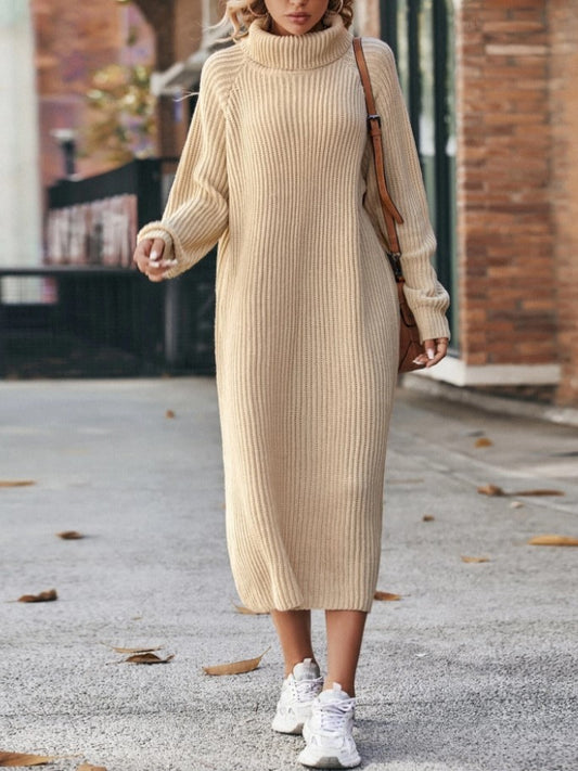 Turtleneck Knitted Sweater Dress