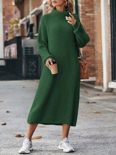 Turtleneck Knitted Sweater Dress