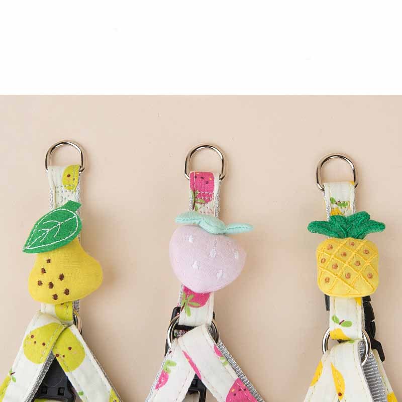 Fruit Printing Outing Cats Leash