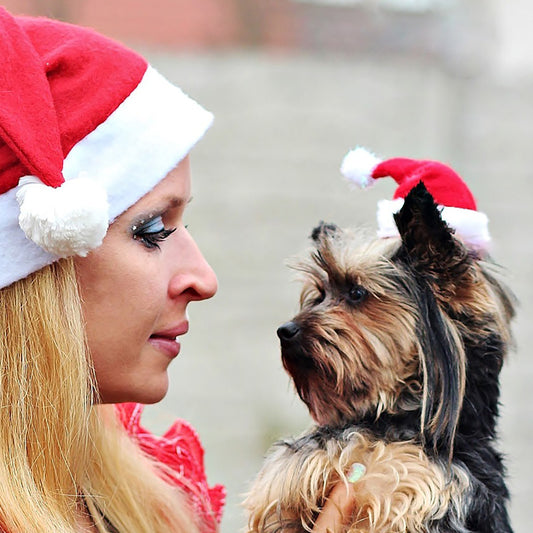 Dog hat creative headdress dress up holiday party decorations