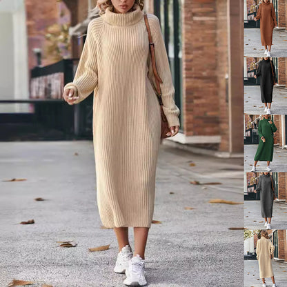 Turtleneck Knitted Sweater Dress